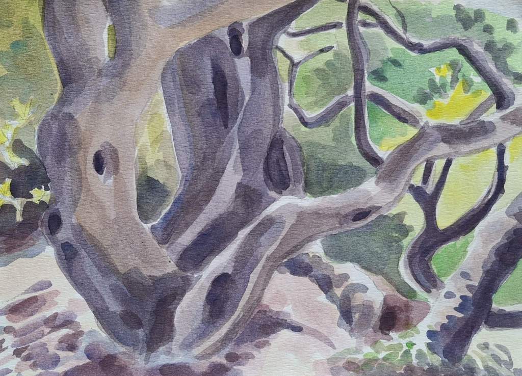A watercolor painting of a twisted tree, showcasing textured bark and green foliage in the background.