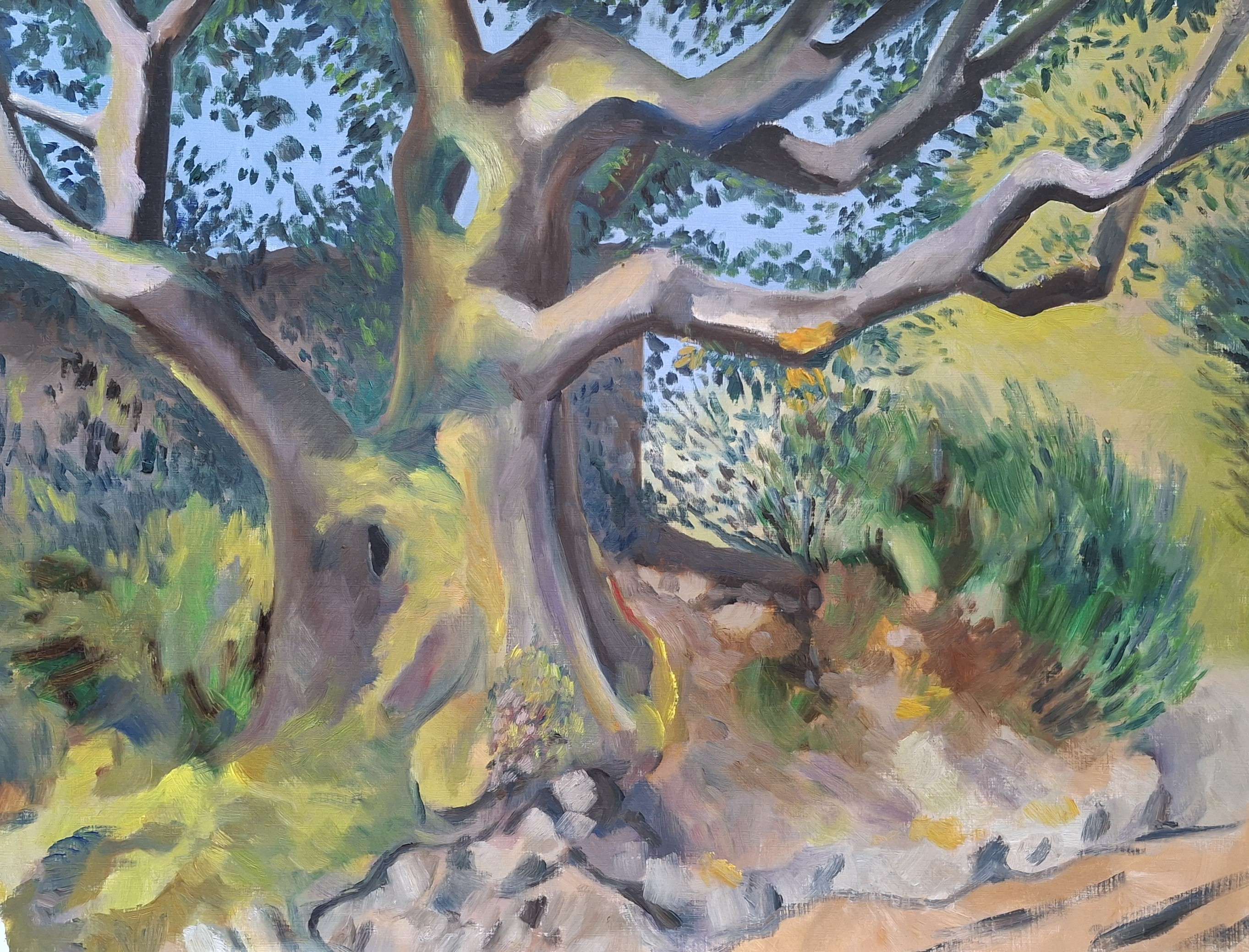 Peinture d'un arbre majestueux avec des branches étendues et un feuillage verdoyant, entouré de buissons et de pierres.