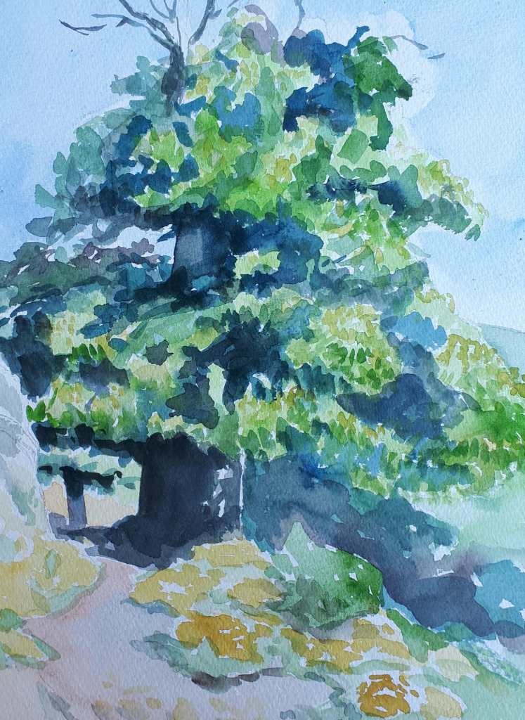 Aquarelle d'un grand arbre vert sur un chemin, avec des feuillages luxuriants et des ombres douces.