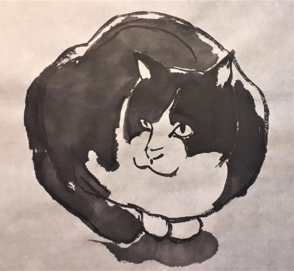 Illustration d'un chat noir et blanc, assis enroulé sur lui-même, stylisé avec des traits de peinture à l'encre.