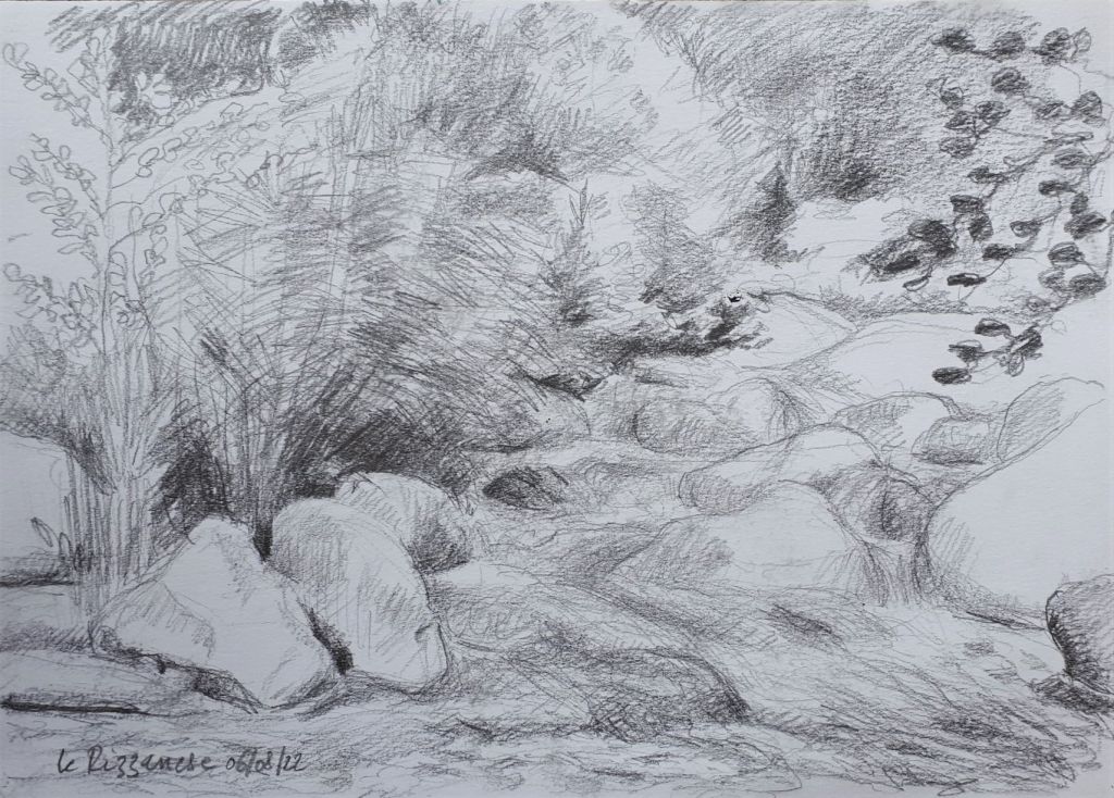 Dessin au crayon représentant un paysage avec des rochers, des plantes et un ruisseau.