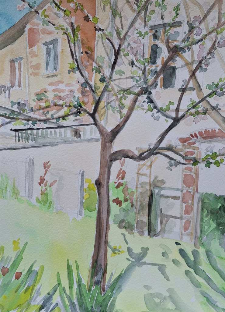 A watercolor painting depicting a tree with blossoms in a garden, with a house and wooden fence in the background.