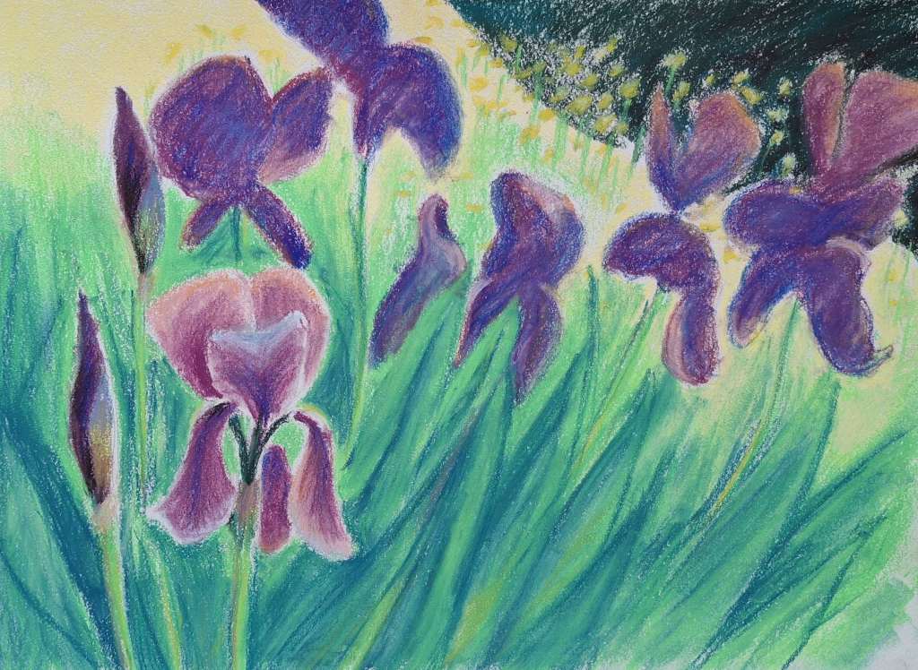A vibrant pastel drawing of purple irises amidst green foliage.