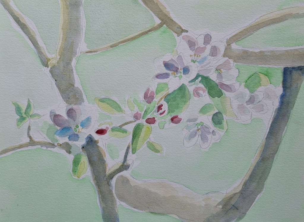 A watercolor painting depicting delicate blossoms and leaves on a tree branch, with soft green and earthy tones in the background.