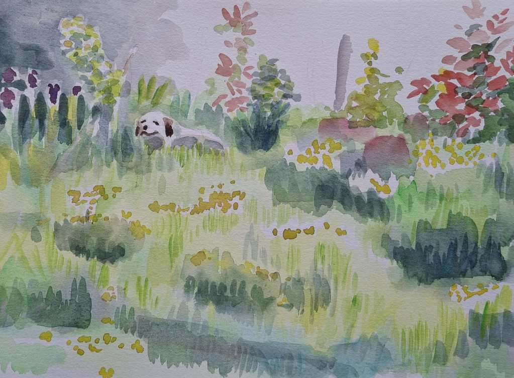 A watercolor painting depicting a serene garden scene with a dog lying in the grass, surrounded by various plants and flowers.
