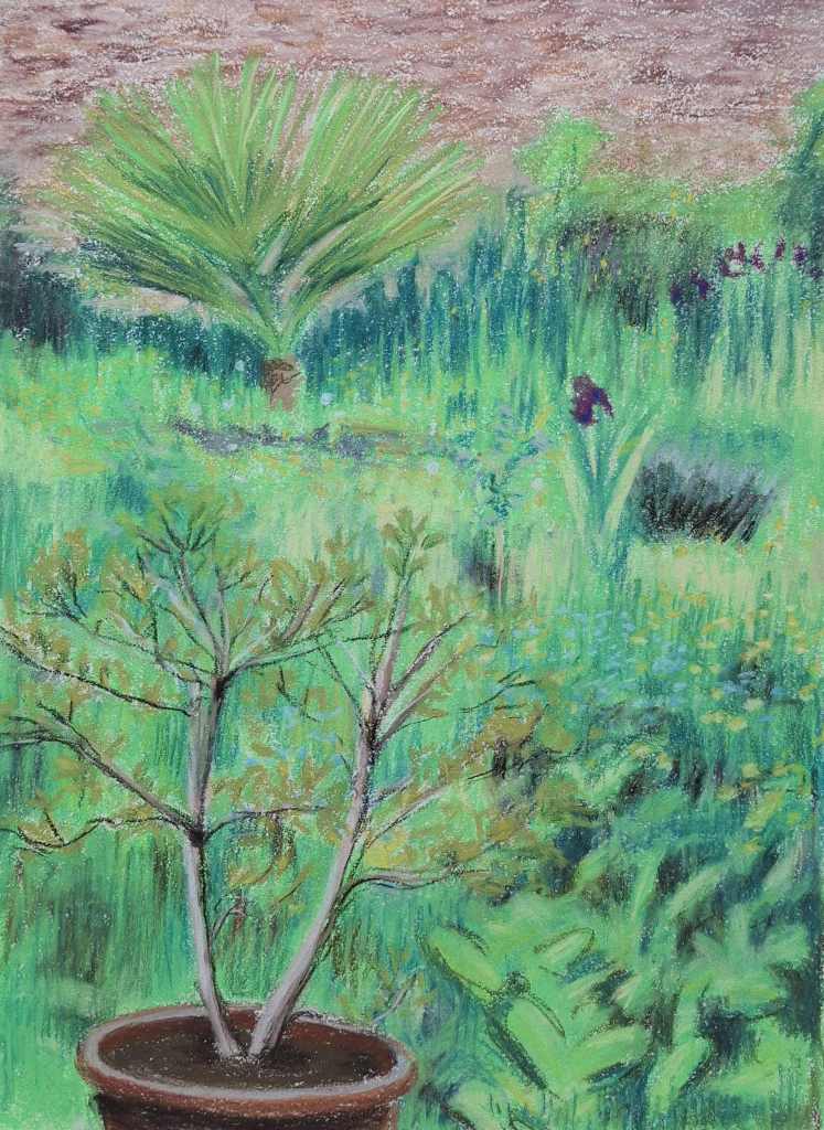 A vibrant garden scene featuring a potted plant with bare branches in the foreground, surrounded by lush green grass, various herbs, and a palm-like plant in the background.