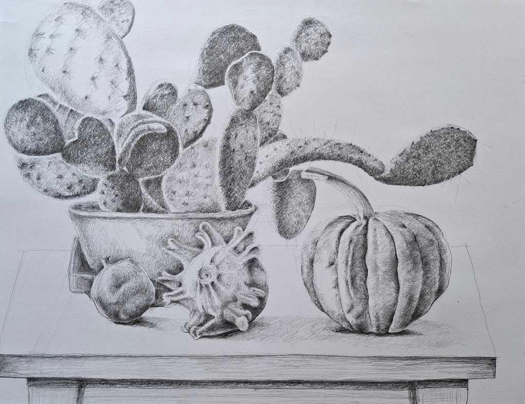 A pencil drawing of various cacti in a pot, accompanied by a pumpkin and a small round fruit on a table.