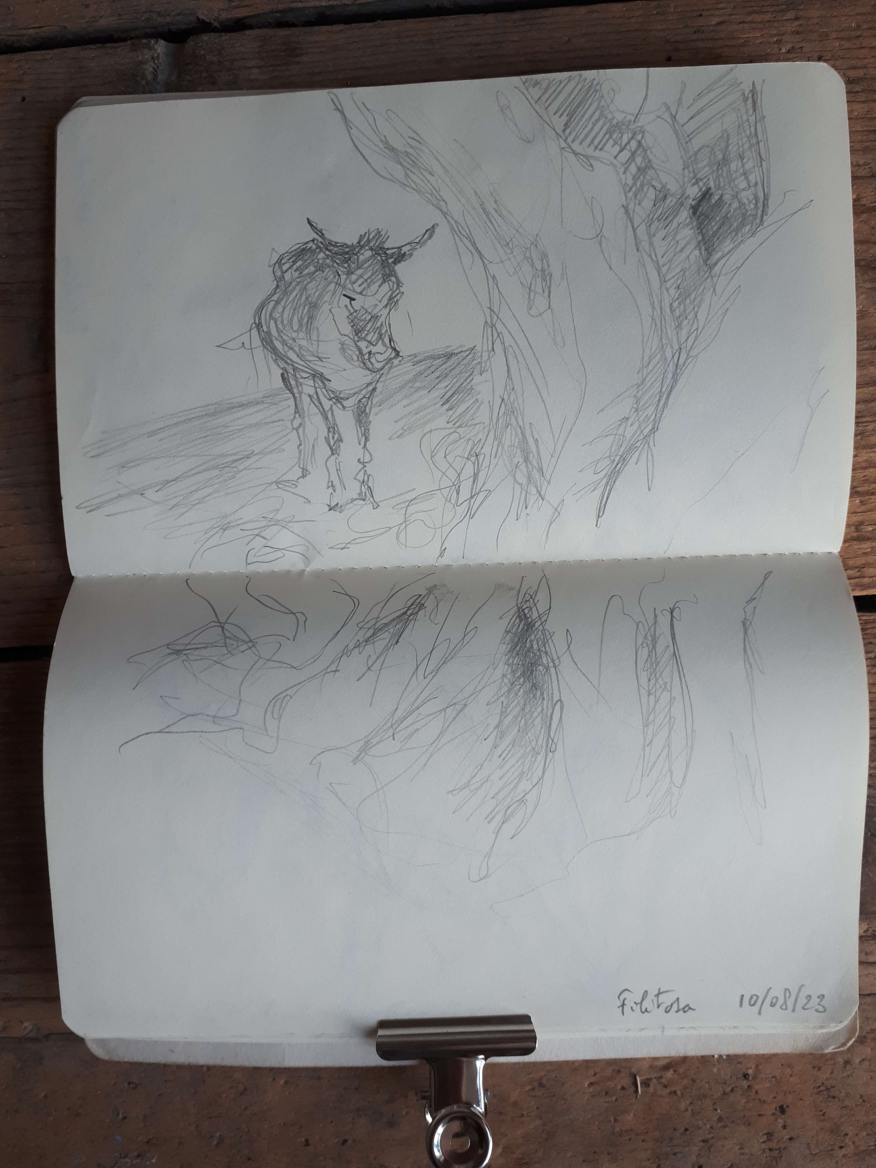 A pencil sketch in a notebook depicting a cow standing near a tree, with loose lines and shading.